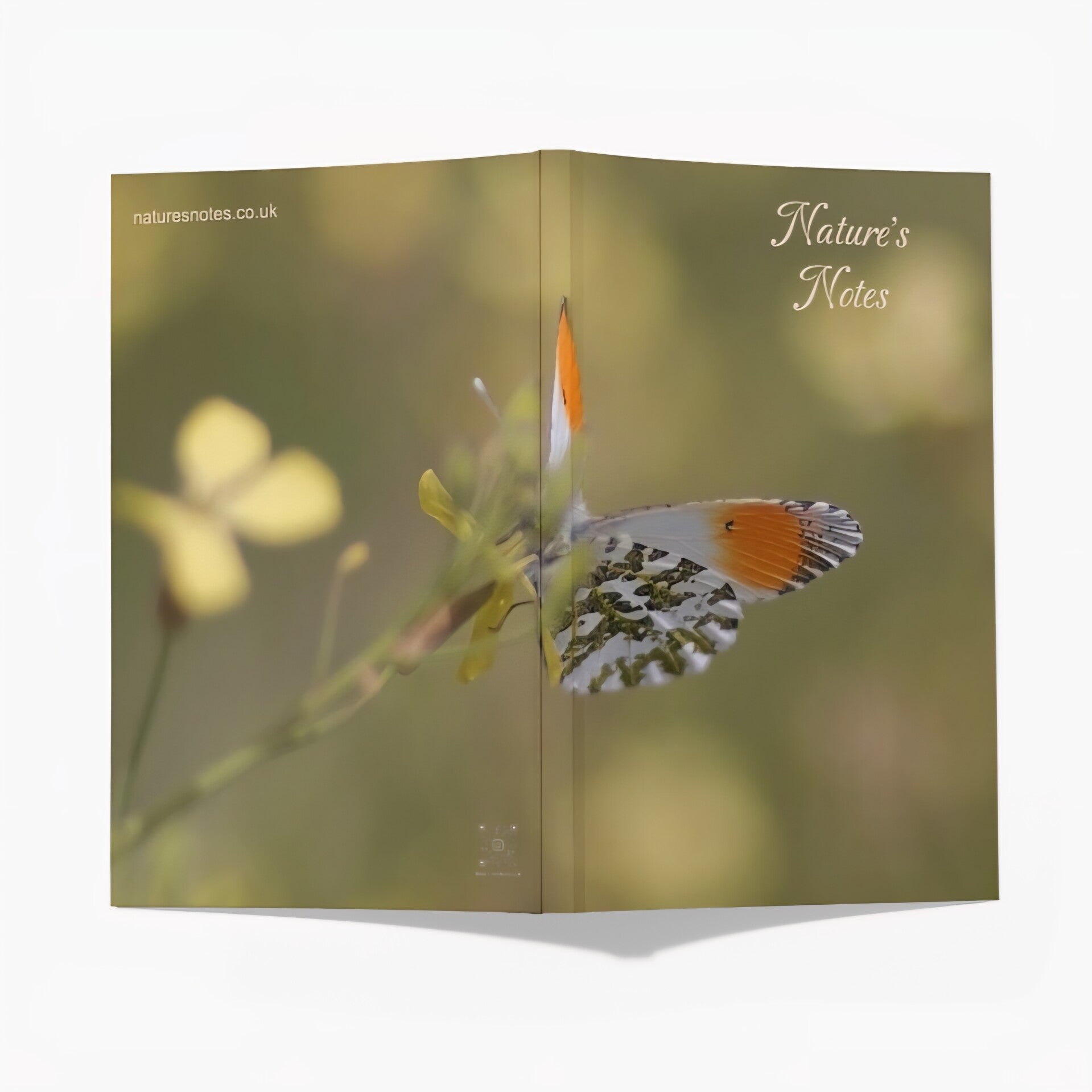 Perfect Bound A5 Notebook - Orange Tip Butterfly