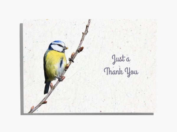 Flat Notelet Cards - Single