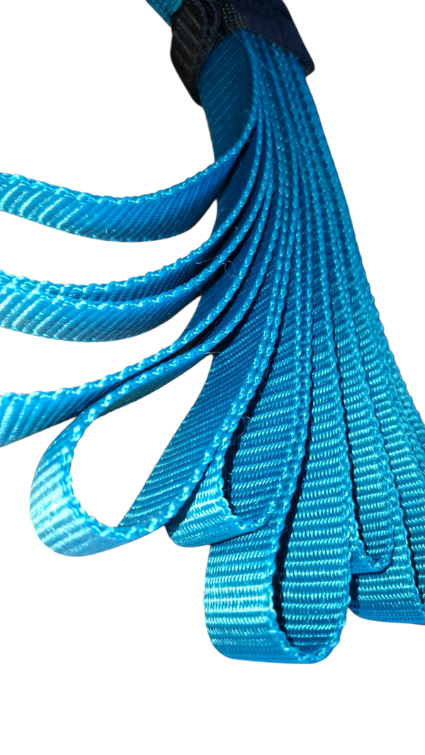 ⚡ STARKesHERZ Basis-Linie: Fährtenleine aus Gurtband (ohne Schlaufe) "Petrol 4 m"