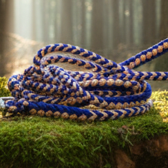 Paracord Leine "Sommerhimmel" (2,50 m) – Alltags-Profi 250 kg