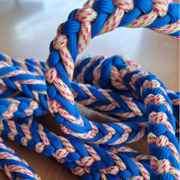 Paracord Leine "Ozean-Racer" (4,00 m) – 250 kg Profi-Langführer