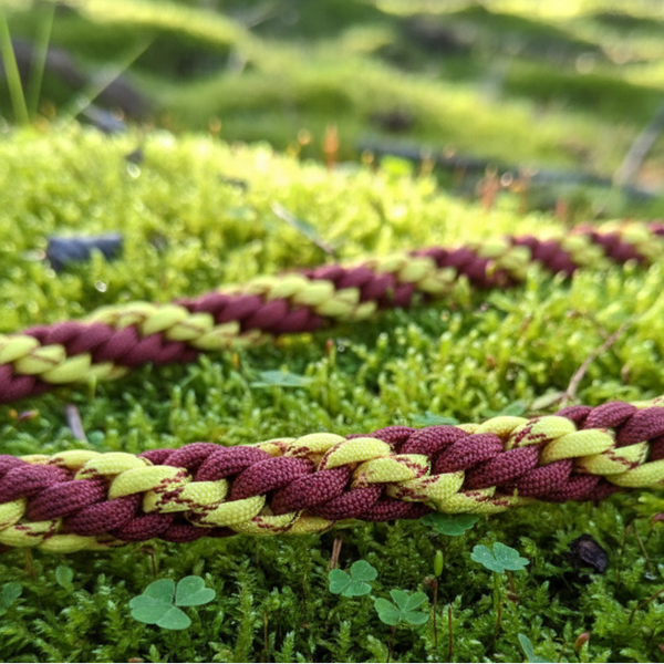 Paracord-Leine „Sonnenberg-Pfad“ – Kräftiger Kontrast im Guckaisee-Muster (2,60 Meter)