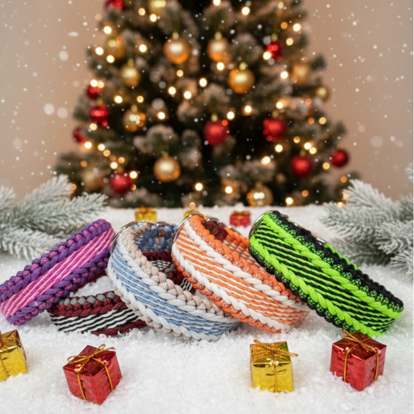 Halsband "Rhön-Bunt"