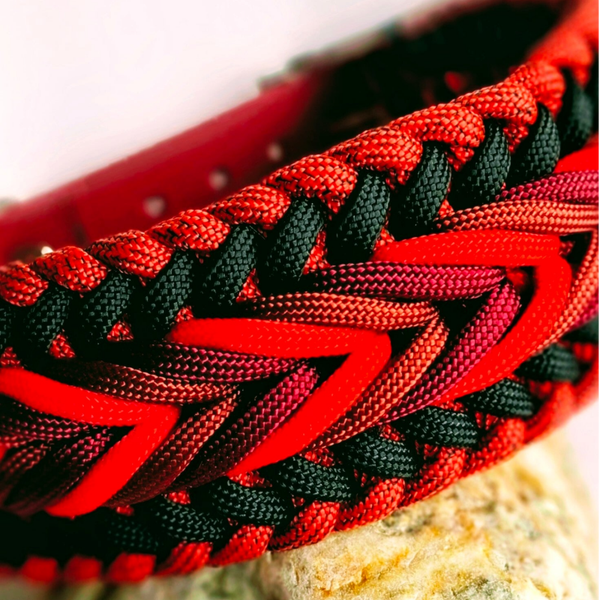​🐕 Paracord Halsband "Rhön-Klassik" (3 cm breit)