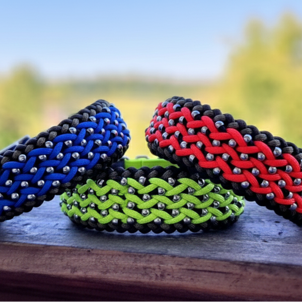 Rhön-Lichter SET – Dein bärenstarkes Unikat inklusive passender Luxus-Leine