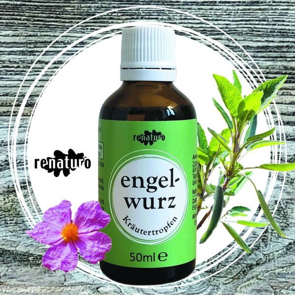 Kräutertropfen engelwurz 50ml