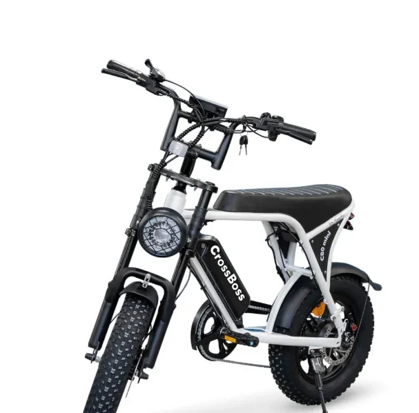 Fatbike C80 mini White