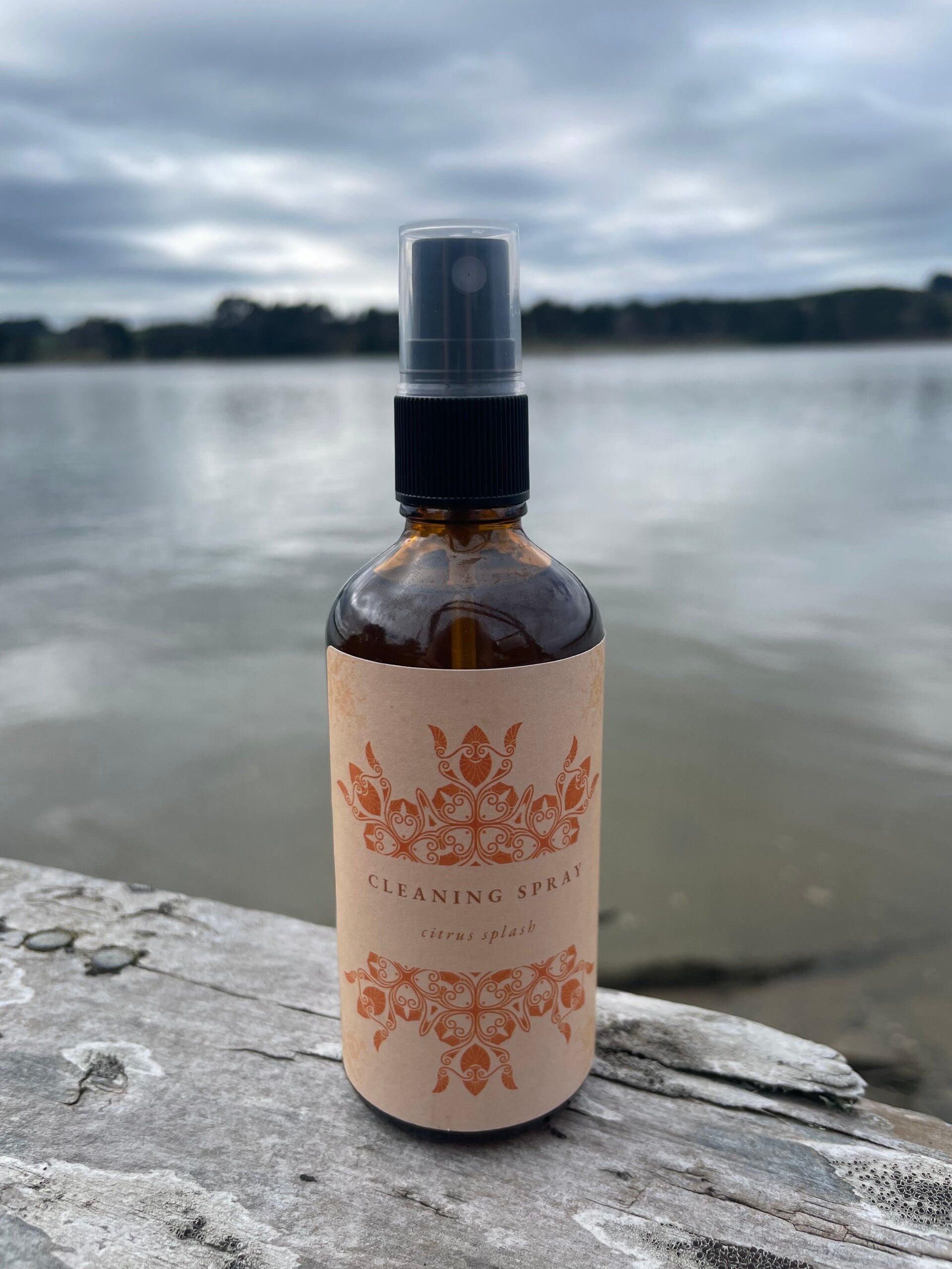 Citrus Splash Cleaning Spray - 100ml