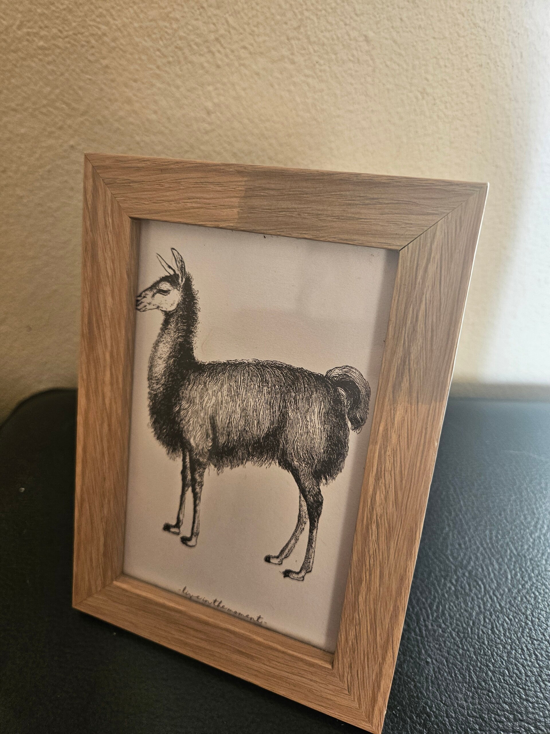 Houten lijstje met afbeelding alpaca