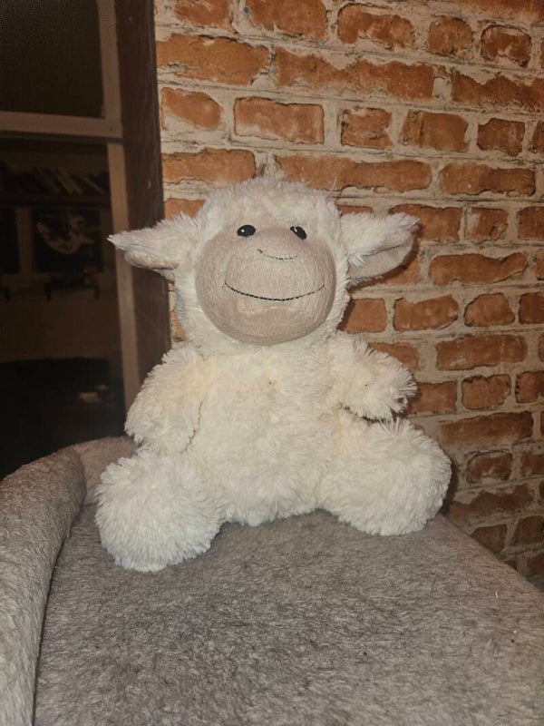 Knuffel speciaal voor honden