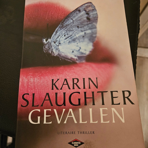 Karin Slaughter- Gevallen