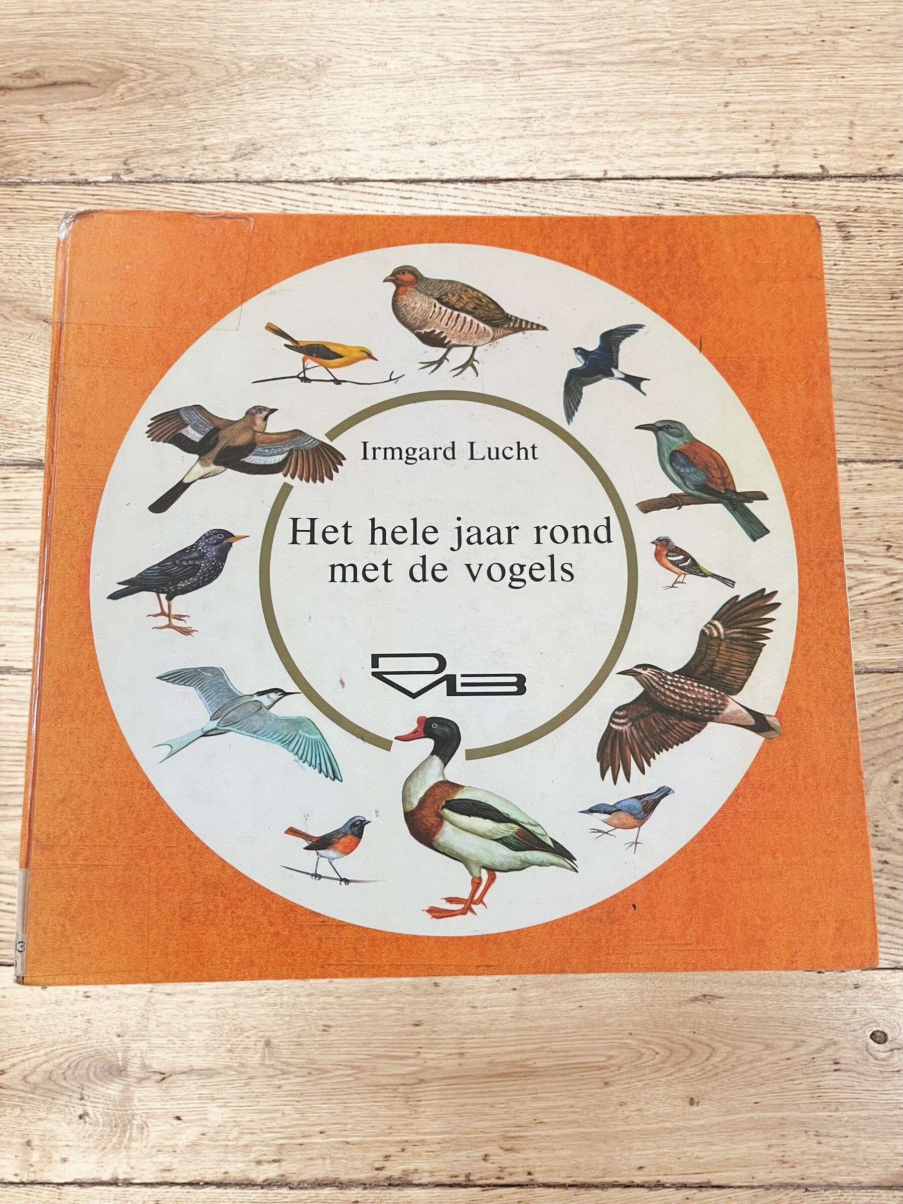 Het hele jaar rond met de vogels - Irmgard Lucht (Geïllustreerd)