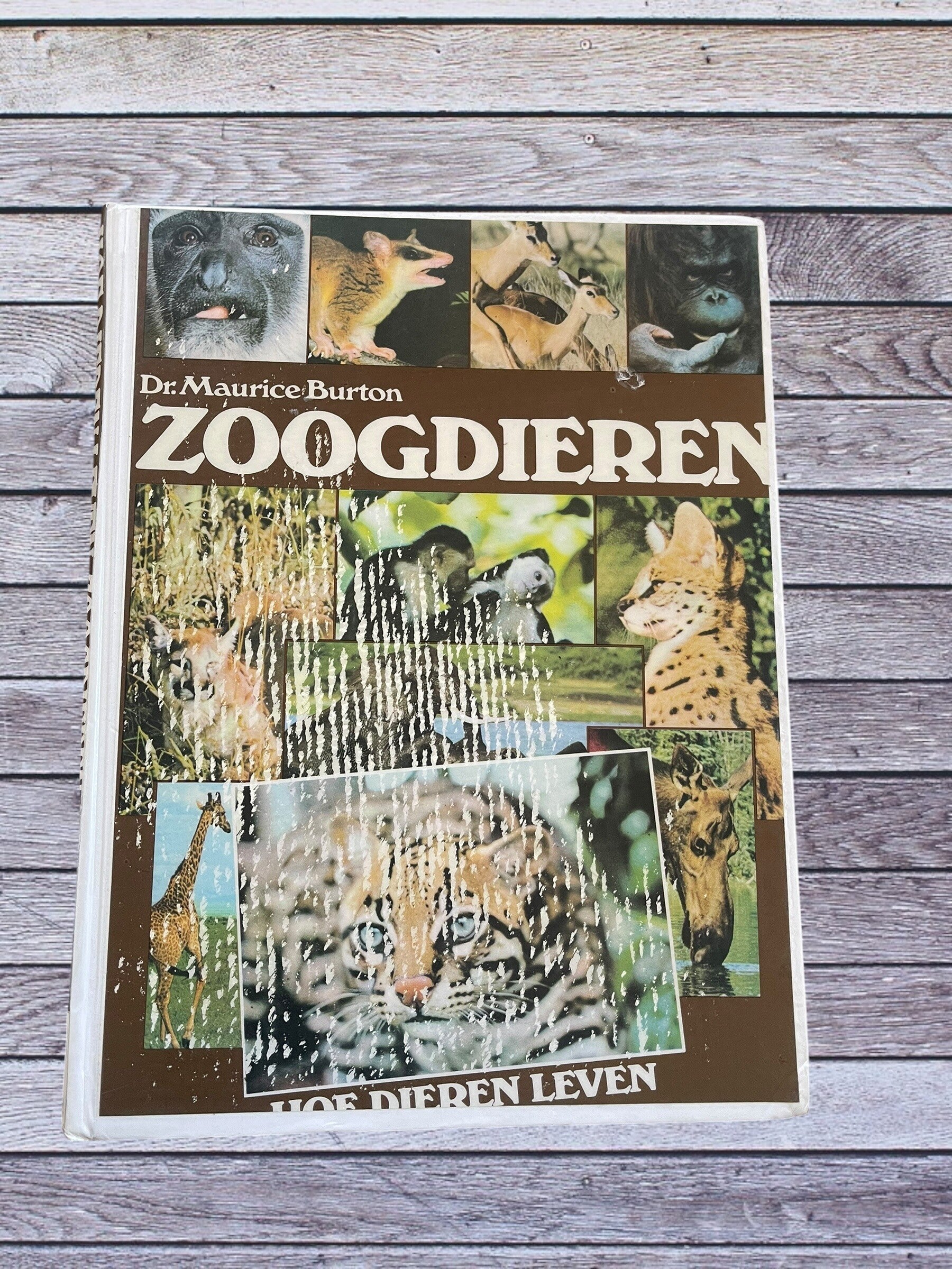 ​Dr. Maurice Burton – Zoogdieren (Serie: Hoe Dieren Leven)