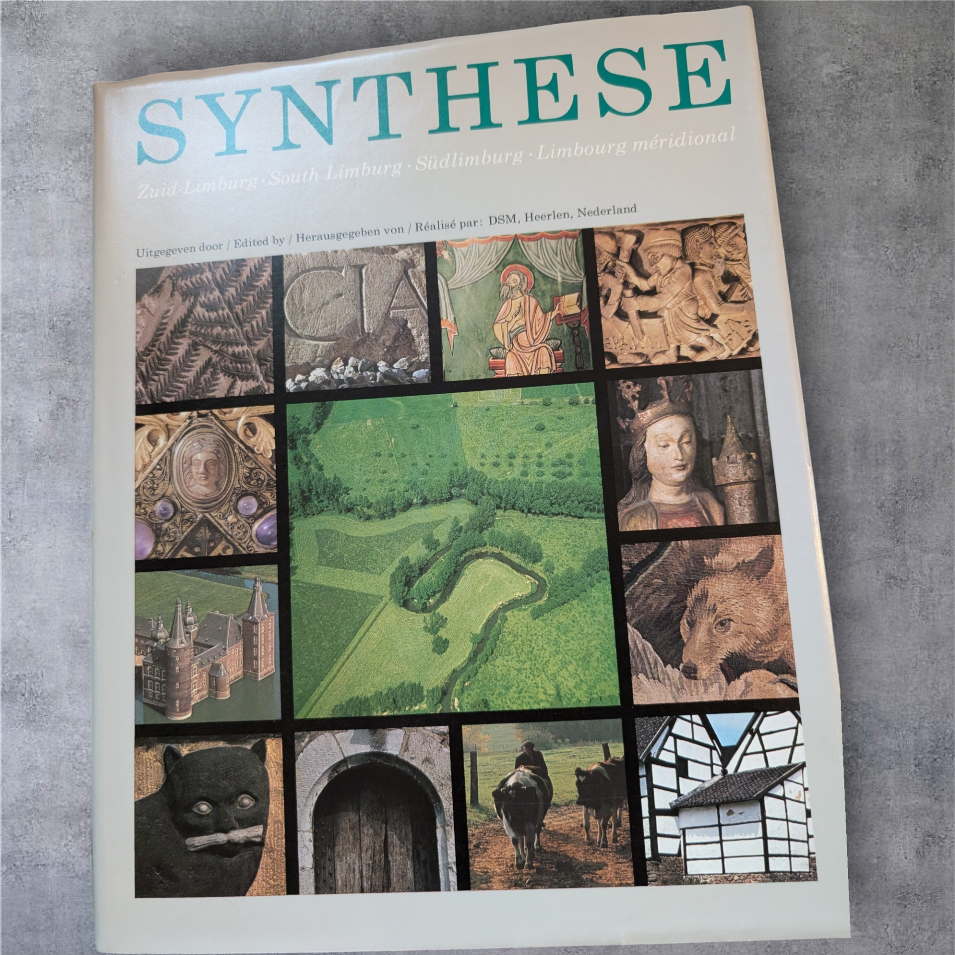 Boek Synthese Zuid-Limburg DSM luxe uitgave (1977)
