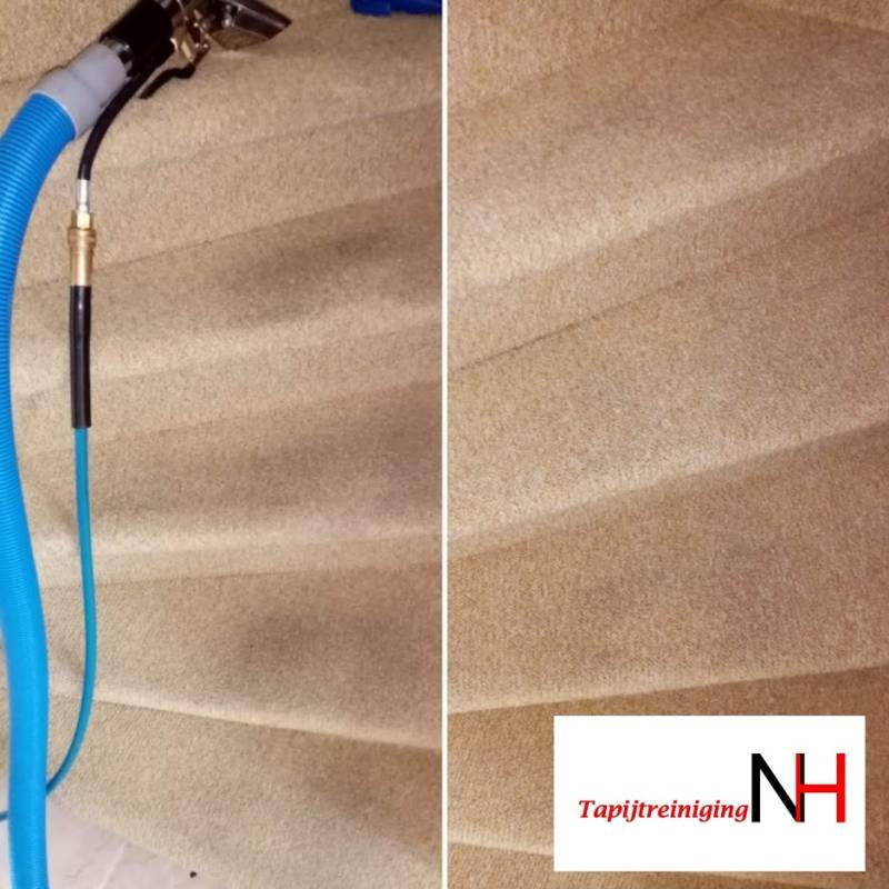 Deepcleaning stairs Tapijtreiniging NH