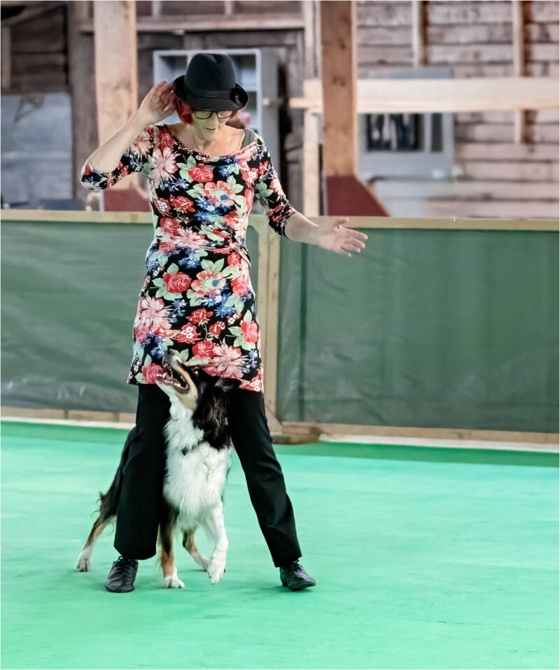 Linda van Butselaar, Hondencoach, Dogdance.