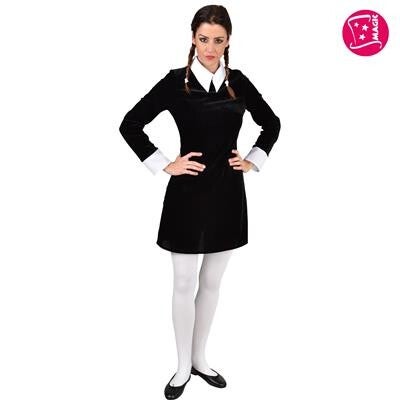 Dames Beroepen: Schoolmeisje