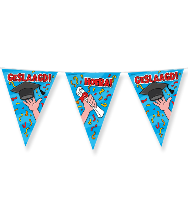 Geslaagd: vlaggenlijn - Geslaagd school cartoon 10 mtr.