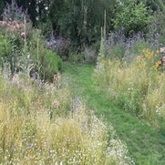 20200703_144046-1.jpg