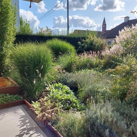 20230923_164758.jpg