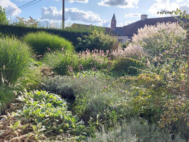 natuurlijke voortuin 