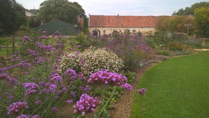 natuurlijke tuin bloemenborder