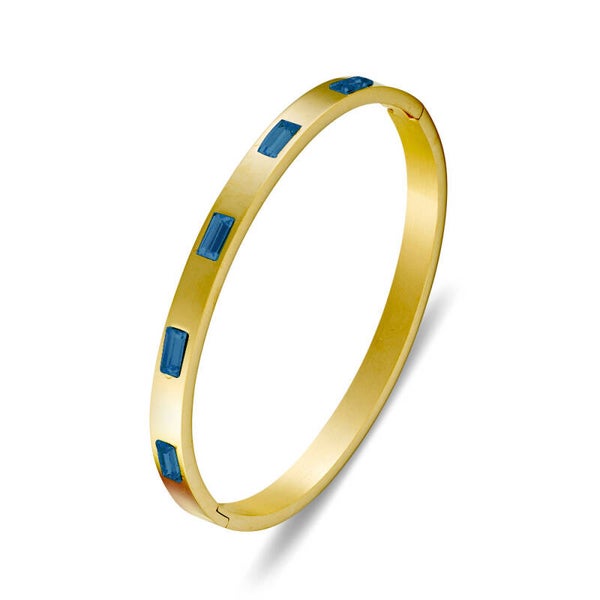 Seren Stainless Steel Waterproof 6MM Bangle with Inset CZ’s Various Colours 18K Yellow Gold Plated