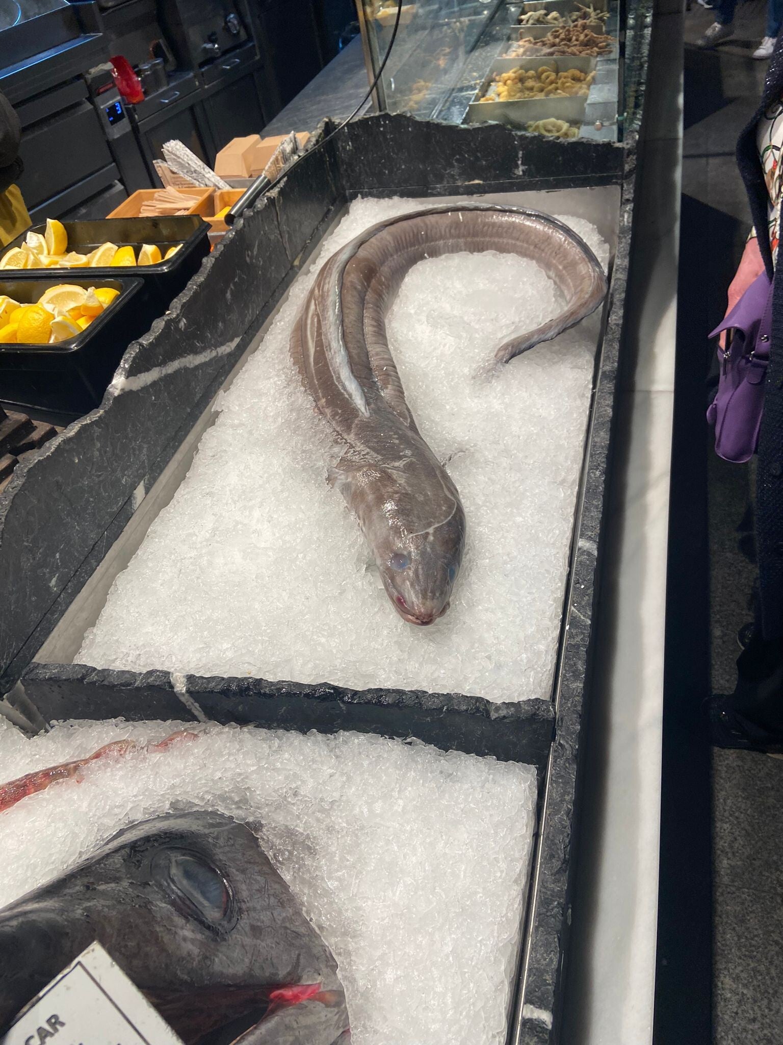 opleiding handelswetenschappen Ugent Economisch Spaans opleiding handelswetenschappen Ugent Economisch Spaans opleiding handelswetenschappen Ugent Economisch Spaans opleiding handelswetenschappen Ugent Economisch Spaans opleiding handelswetenschappen Gent