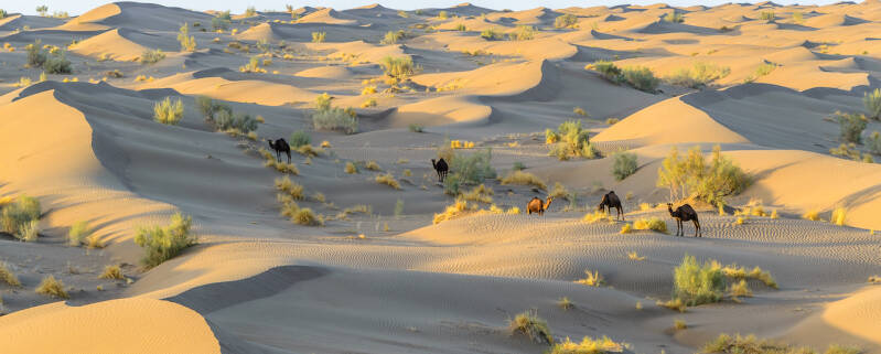 Iranian deserts