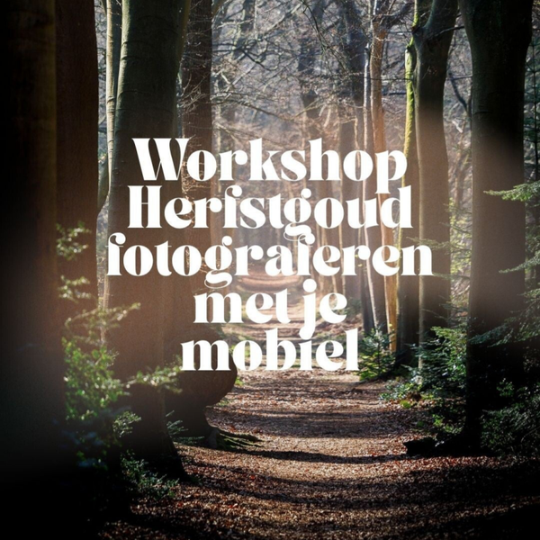 HERFSTGOUD Workshop "Fotograferen met je mobiel."