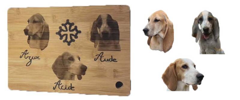 perso-chiens-standard-sorqyr.jpg