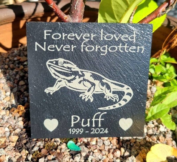 Bearded Dragon memorial slate personalised pet grave stone marker Memory plaque