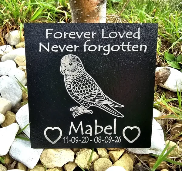 Budgie memorial slate personalised pet Budgerigar plaque / Bird grave marker
