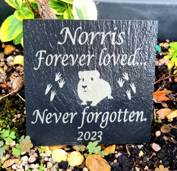 Personalised Guinea Pig memorial slate remembrance grave marker plaque gift