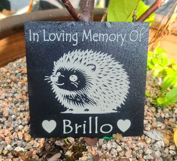 Hedgehog memorial slate personalised pet remembrance grave stone marker plaque