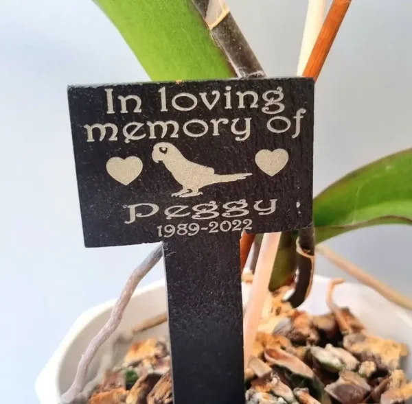 Share Personalised PARROT memorial slate Grave Stone marker stake pet remembrance plaque