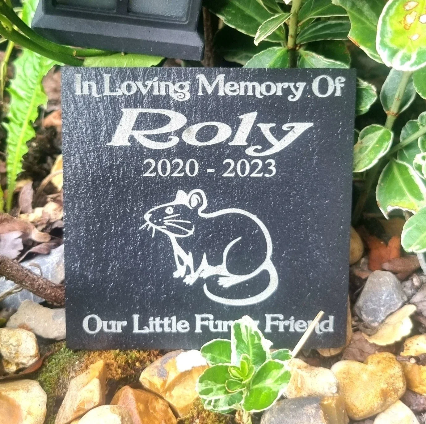 Personalised pet RAT memorial slate Remembrance Grave Marker plaque Gravestone