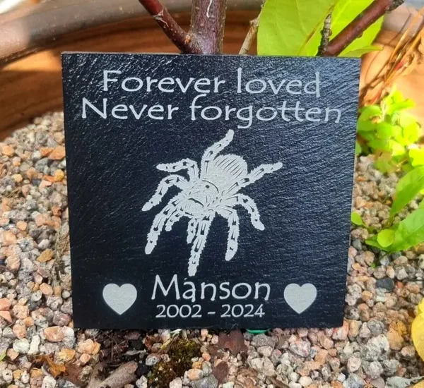 Spider / Tarantula memorial pet grave stone marker Memory plaque slate