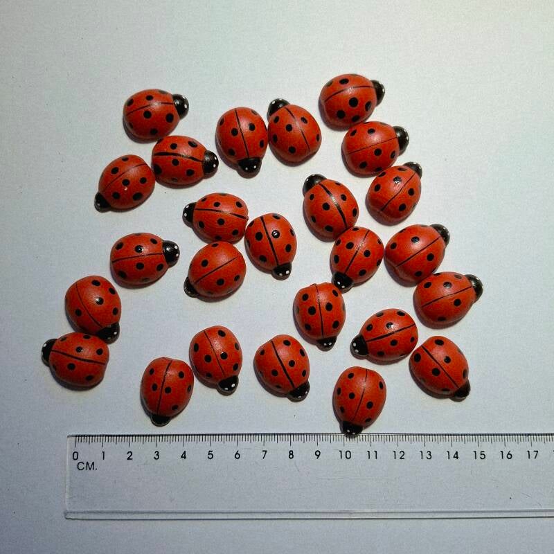 houten lieveheersbeestjes