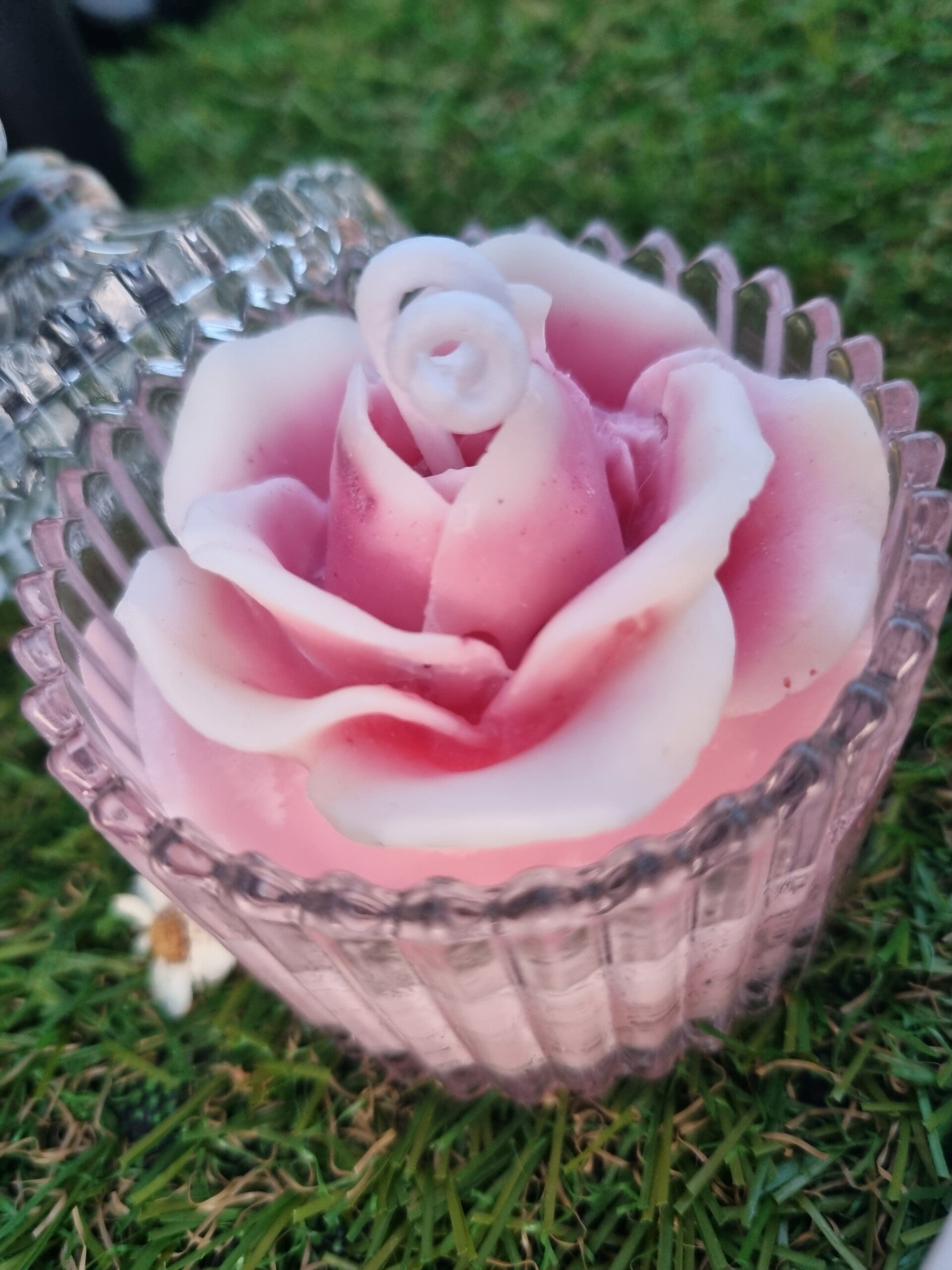 Bougie Coffret "Rosa menor"