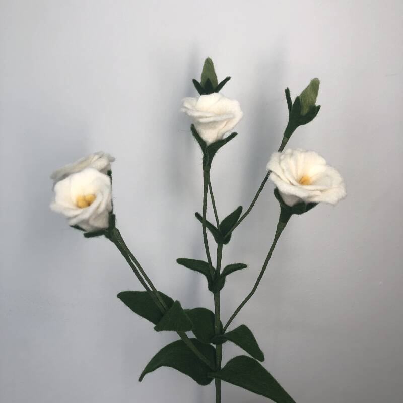 Lisianthus van vilt