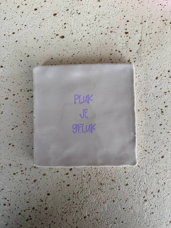 Tegeltje “pluk je geluk’