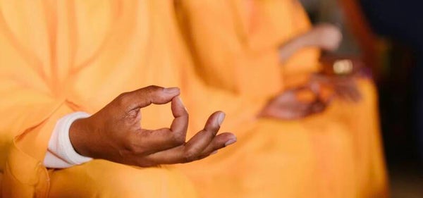 12 x Buddhadharma Meditation Sessions