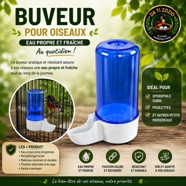 Bavoir Externe