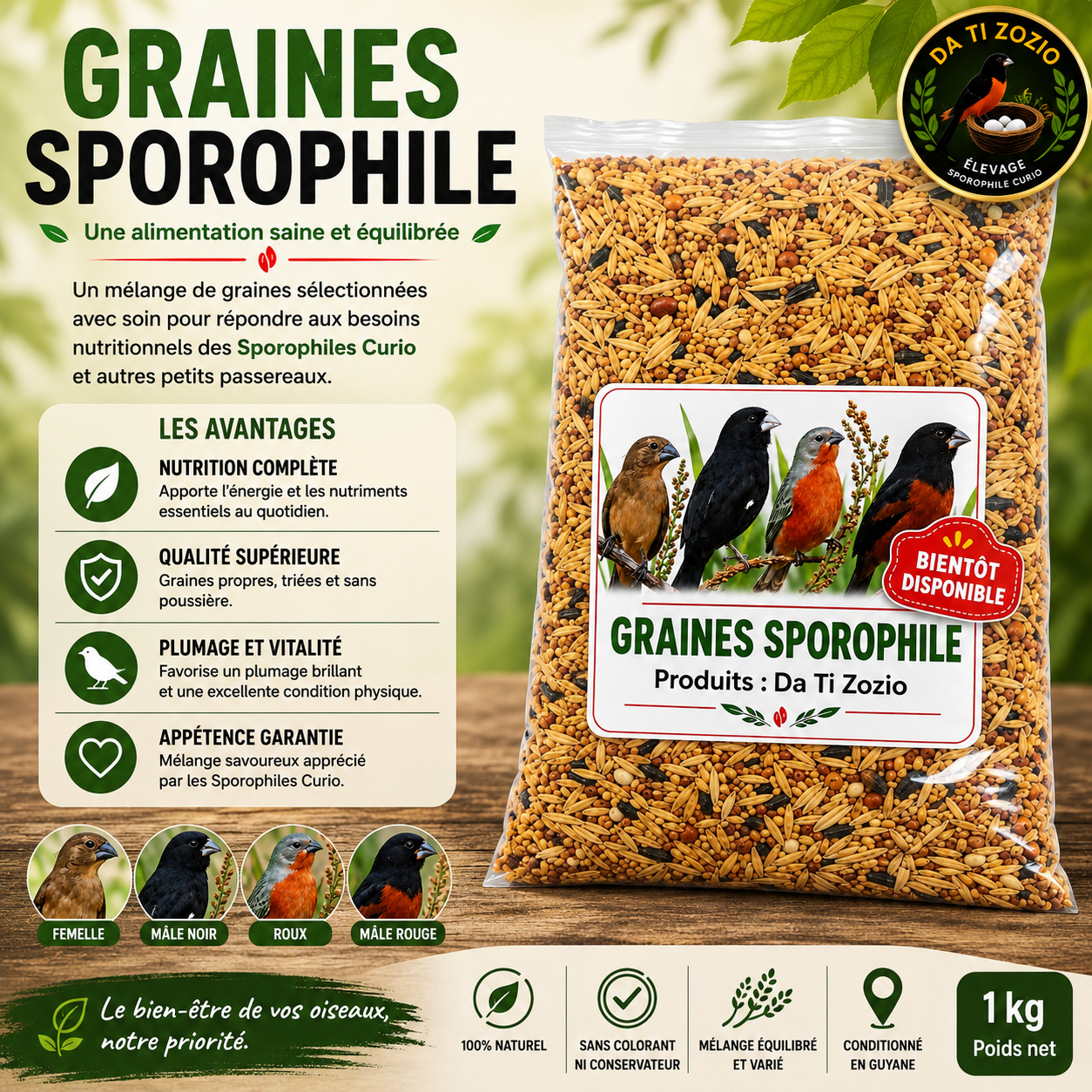 Graines variées