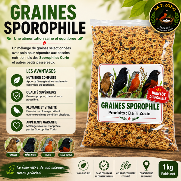Graines variées