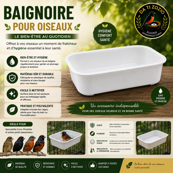 Baignoire
