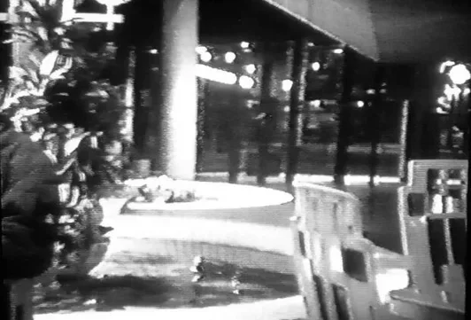 vijver euro den bosch