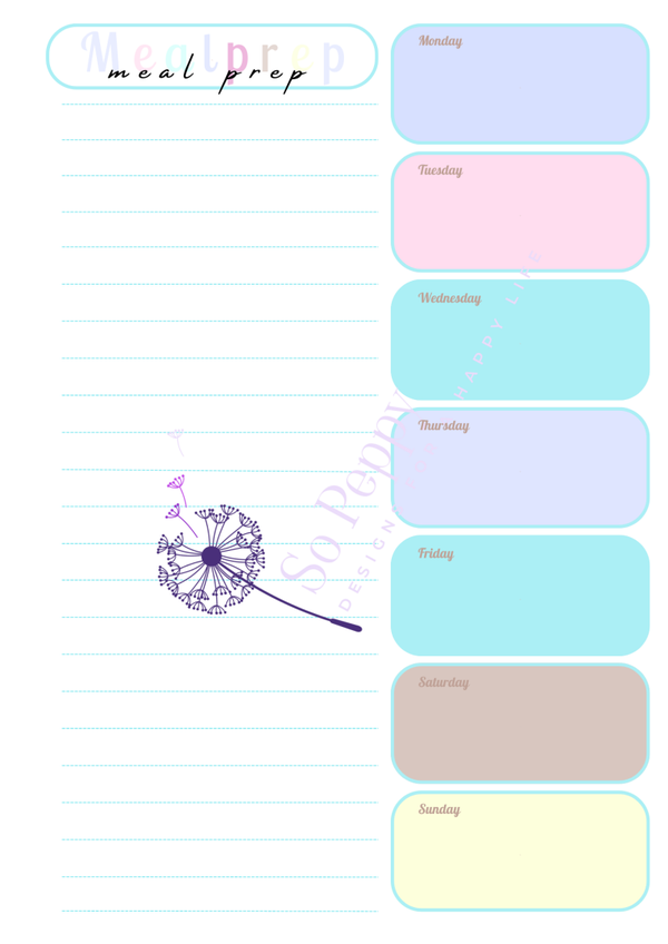 Meal prep "Mint Green"