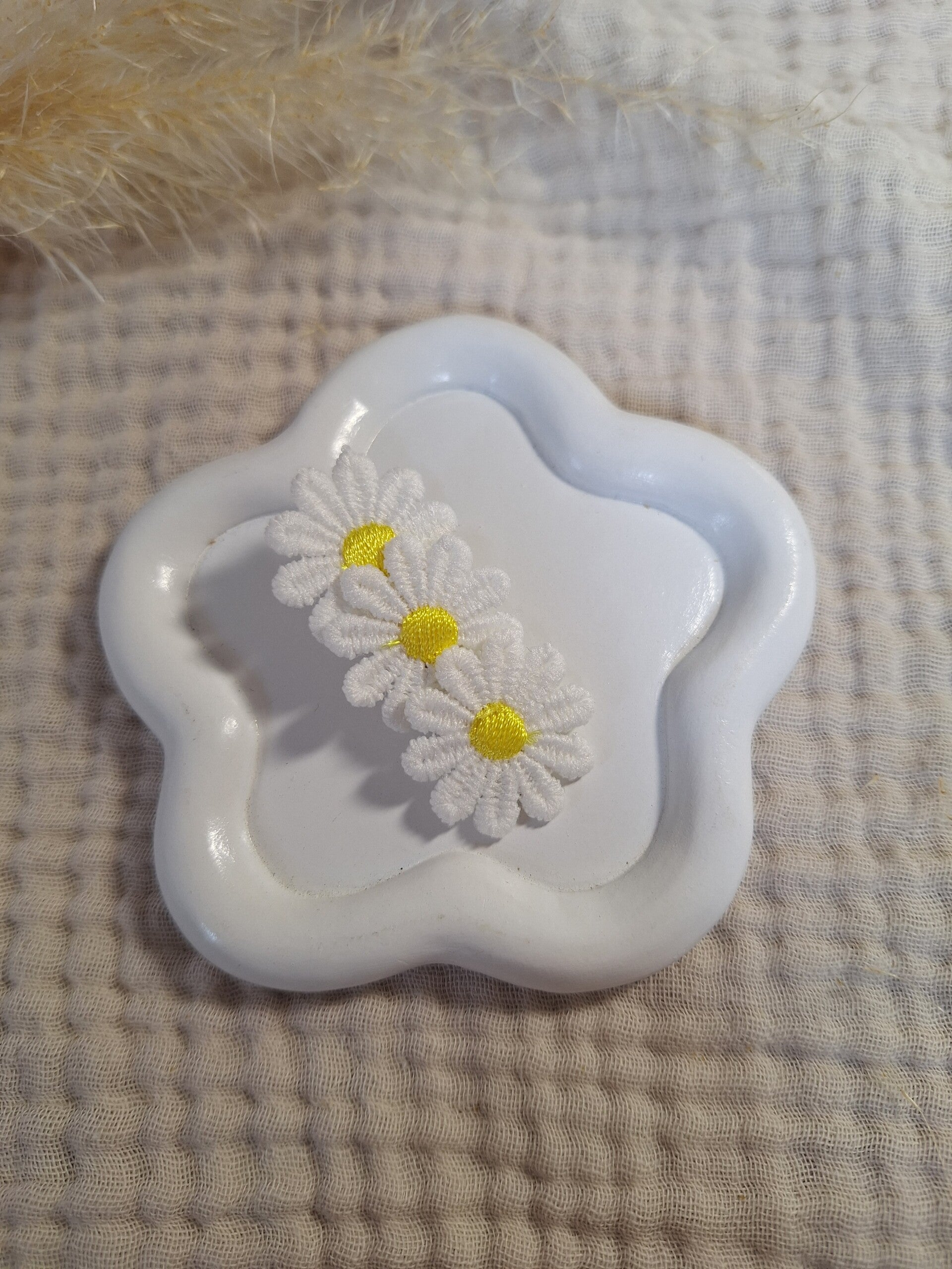 Alligator madelief geel